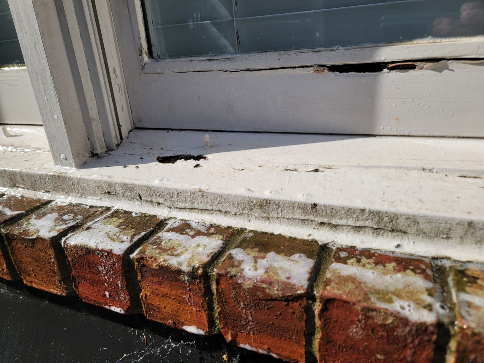 Exterior Wood Repair & Paint