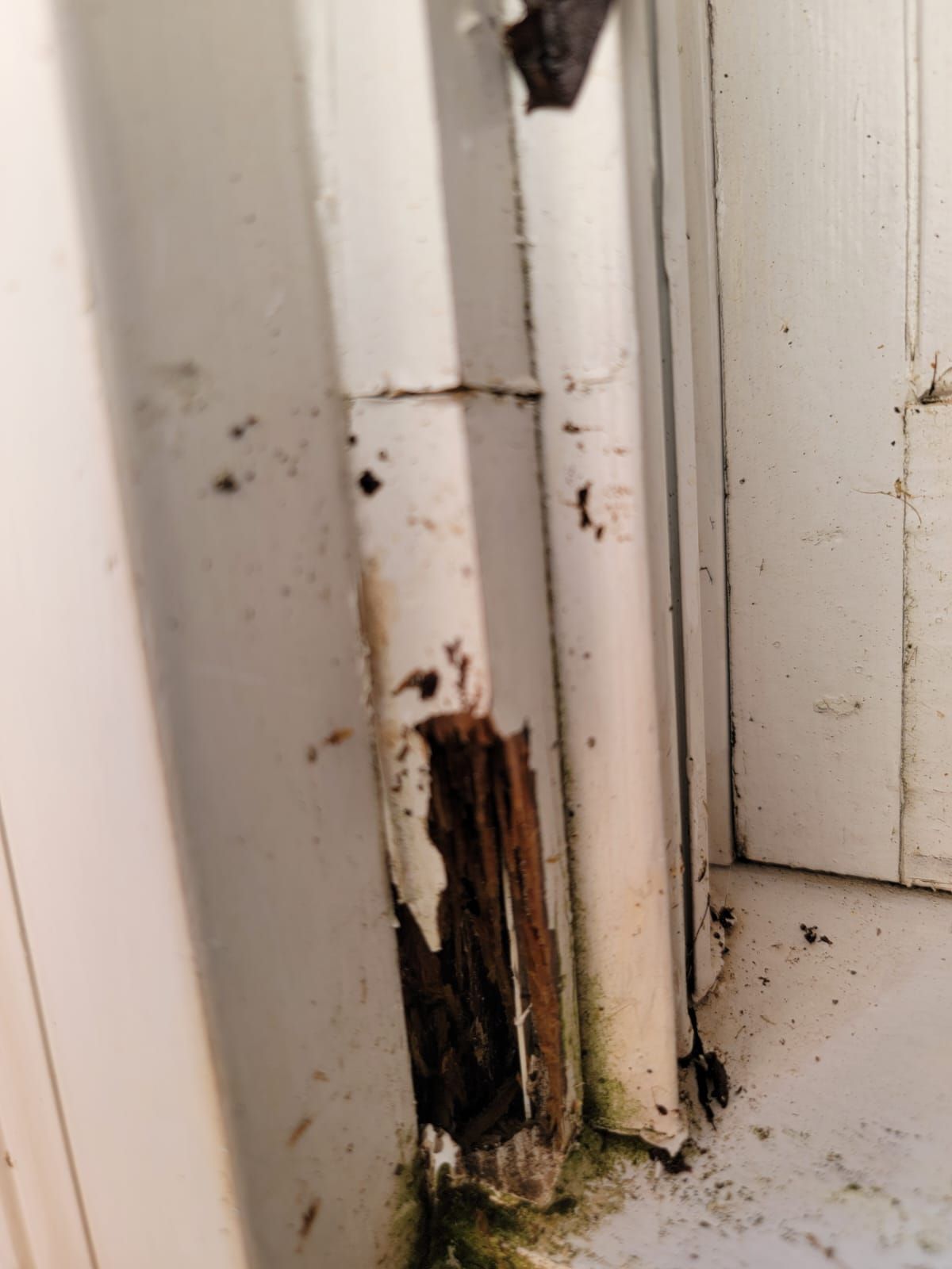 Exterior Wood Repair & Paint